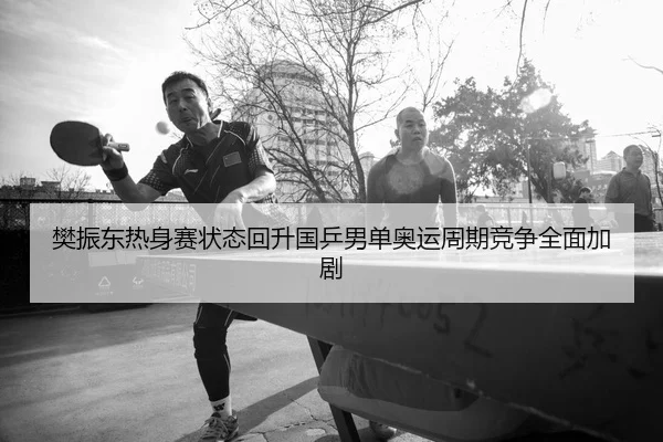 樊振东热身赛状态回升国乒男单奥运周期竞争全面加剧